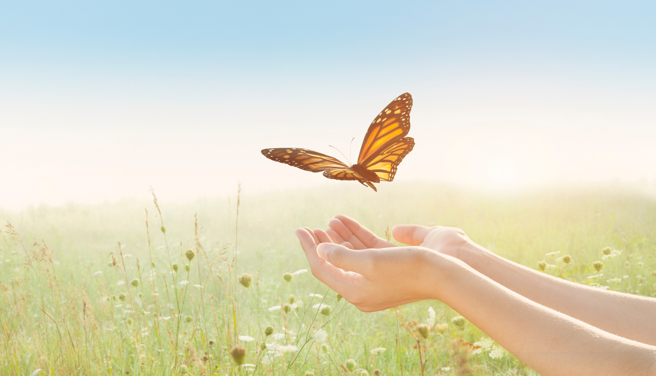 Young female, arms outstretched open palms, releasing butterfly in field